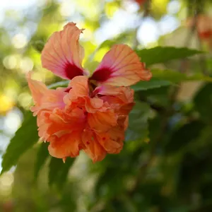 Casaluna , San Andres (San Andres and Providencia Islands) Colombia
